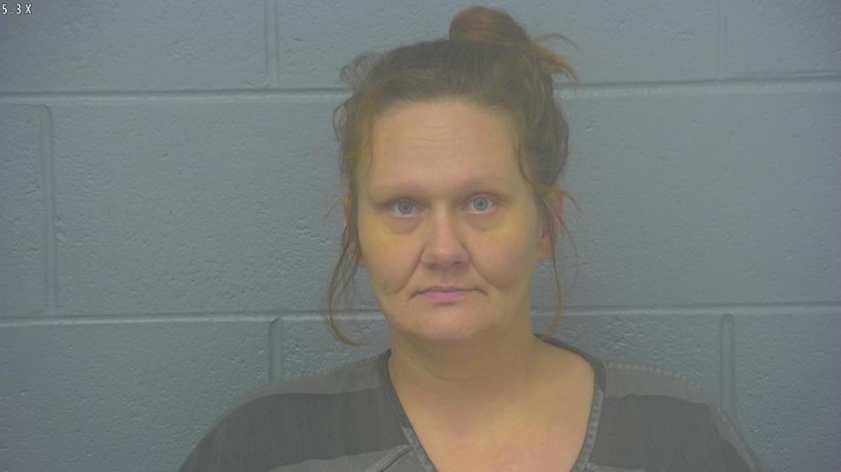 Arrest photo of STEPHANIE  TURNER 